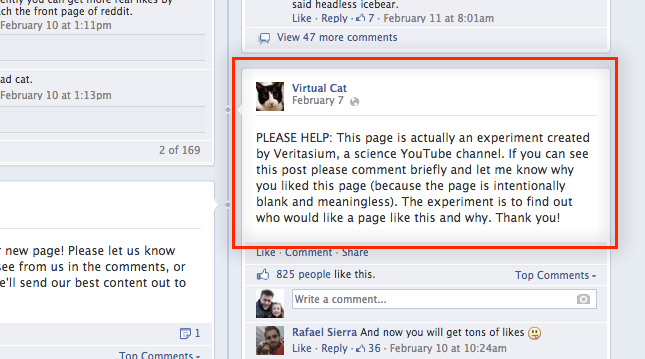 virtual cat facebook page